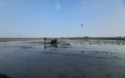 Inspirasi Judul Penelitian Berhubungan dengan Mesin Traktor Sawah Basah
